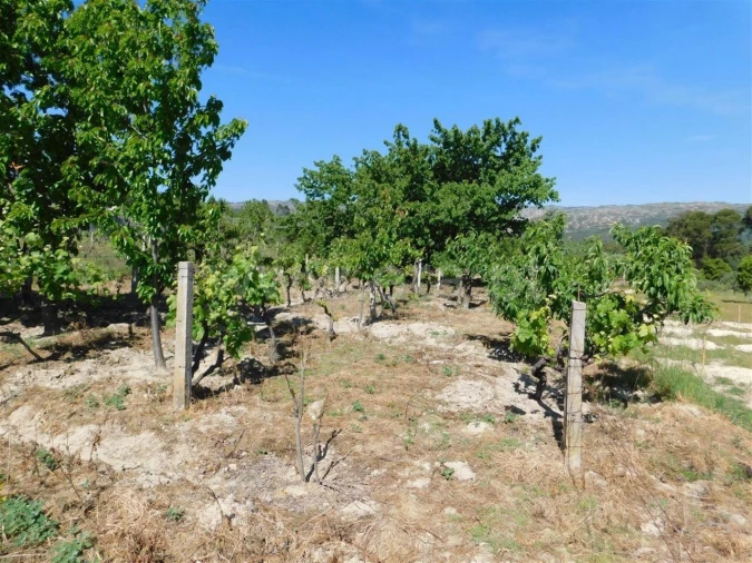 Terreno para Venda em Póvoa de Atalaia e Atalaia do Campo Foto 12
