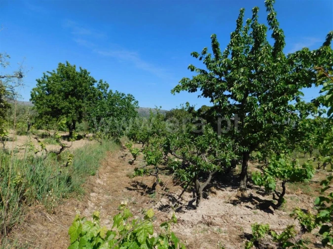 Terreno para Venda em Póvoa de Atalaia e Atalaia do Campo Foto 14