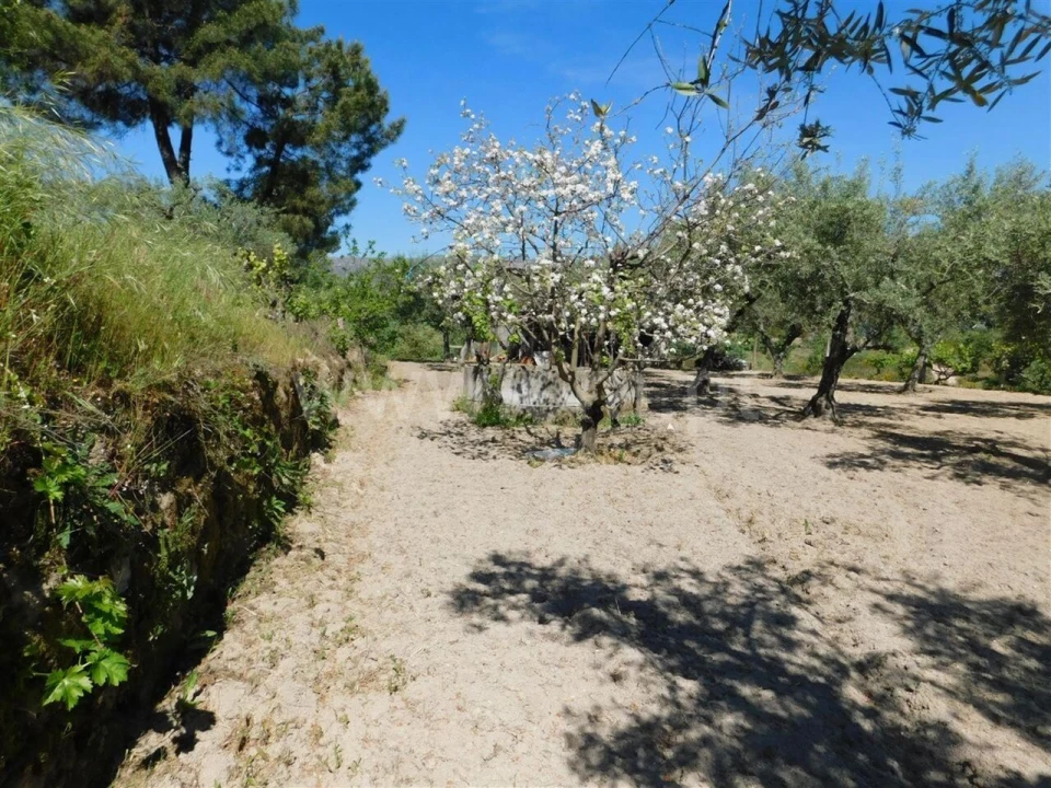 Terreno para Venda em Póvoa de Atalaia e Atalaia do Campo Foto 10