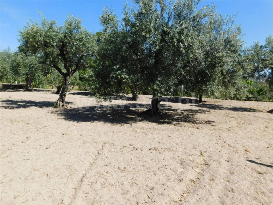Terreno para Venda em Póvoa de Atalaia e Atalaia do Campo Foto 5