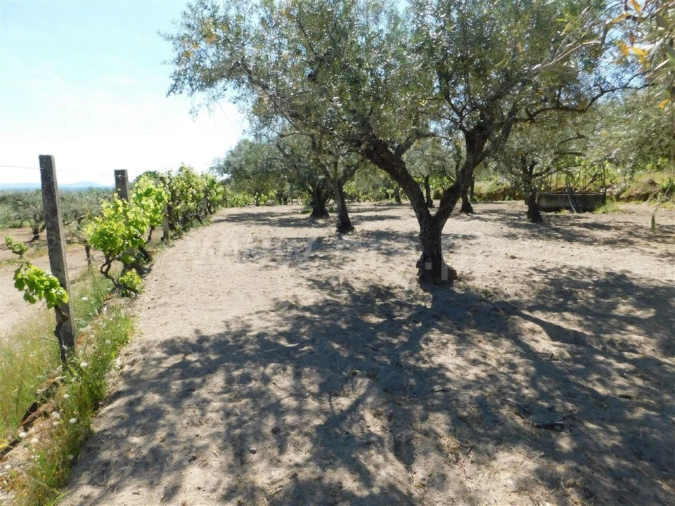 Terreno para Venda em Póvoa de Atalaia e Atalaia do Campo Foto 17