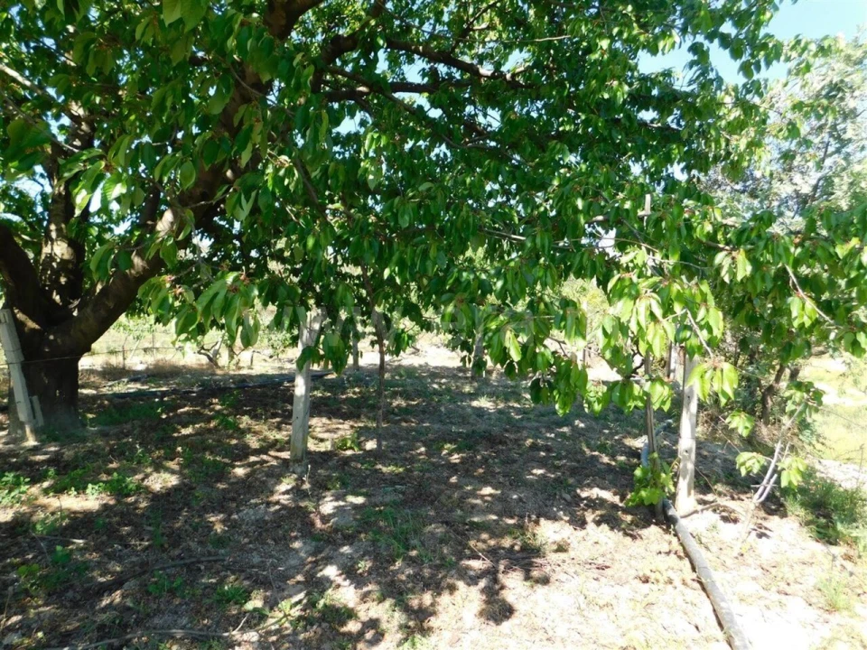 Terreno para Venda em Póvoa de Atalaia e Atalaia do Campo Foto 13