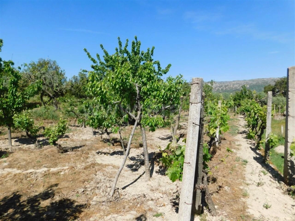 Terreno para Venda em Póvoa de Atalaia e Atalaia do Campo Foto 15