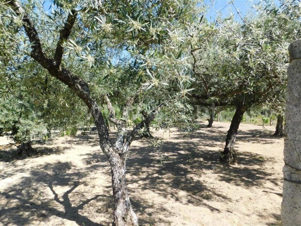 Terreno para Venda em Póvoa de Atalaia e Atalaia do Campo Foto 6