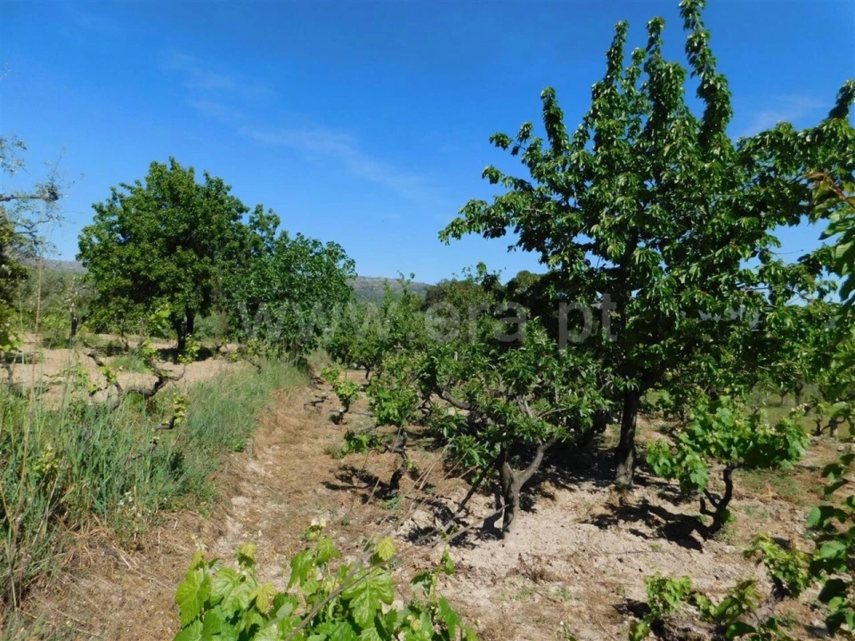 Terreno para Venda em Póvoa de Atalaia e Atalaia do Campo Foto 14