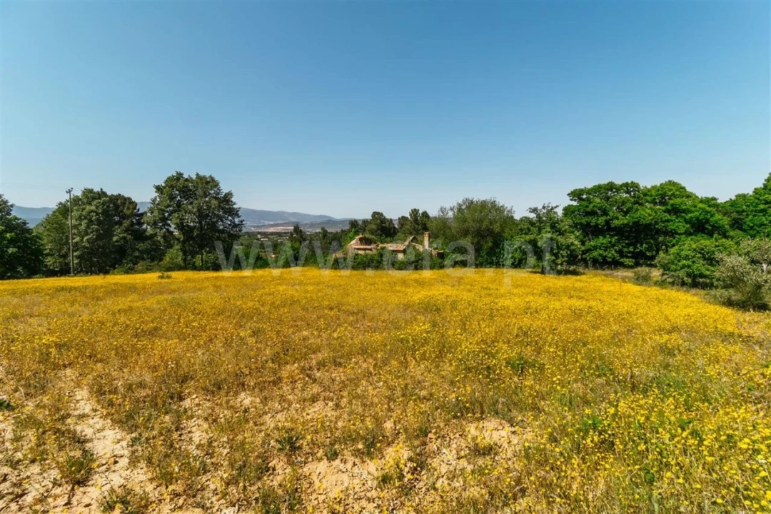 Terreno para Venda em Fundão, Valverde, Donas, A. Joanes, A. Nova Cabo Foto 2