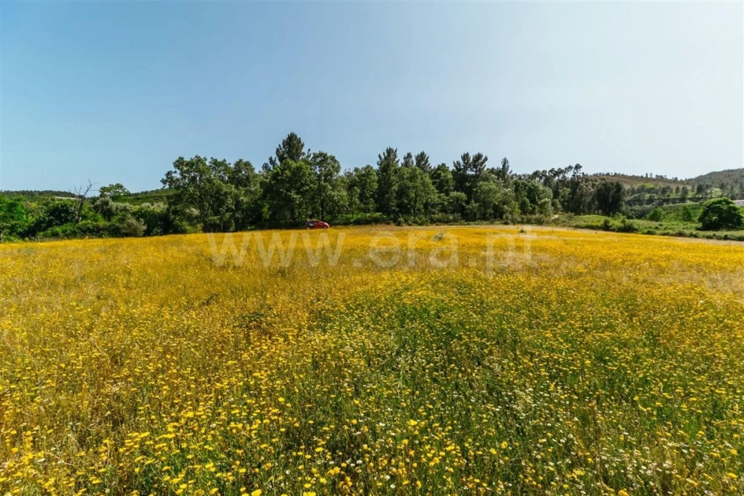 Terreno para Venda em Fundão, Valverde, Donas, A. Joanes, A. Nova Cabo Foto 7