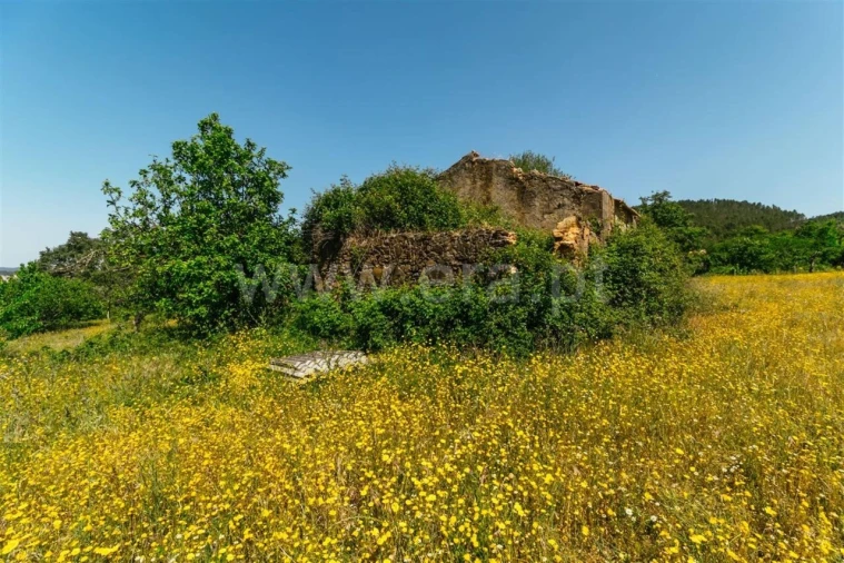 Terreno para Venda em Fundão, Valverde, Donas, A. Joanes, A. Nova Cabo Foto 4