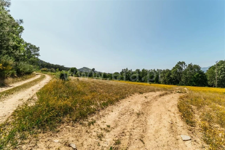 Terreno para Venda em Fundão, Valverde, Donas, A. Joanes, A. Nova Cabo Foto 11