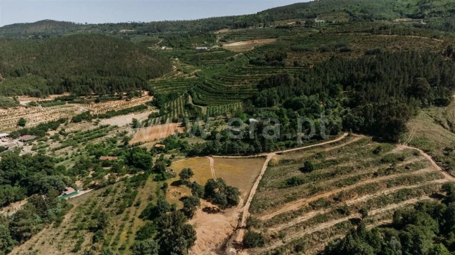 Terreno para Venda em Fundão, Valverde, Donas, A. Joanes, A. Nova Cabo Foto 19