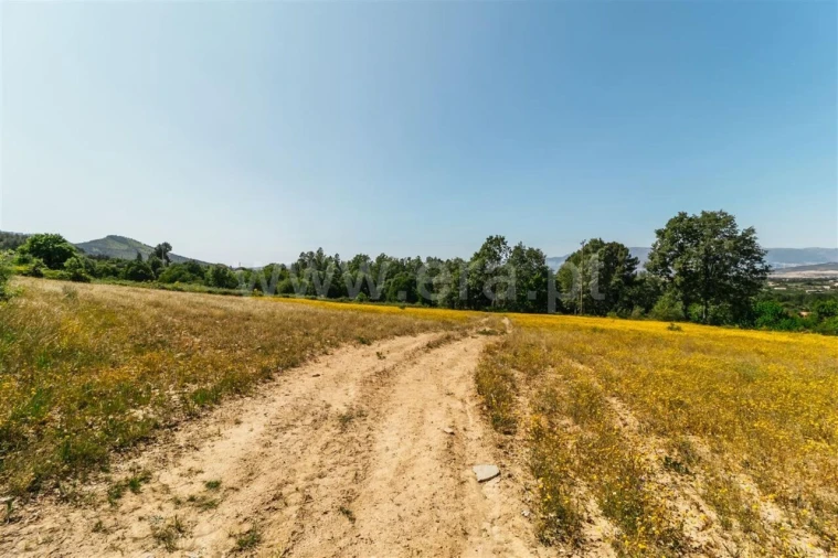 Terreno para Venda em Fundão, Valverde, Donas, A. Joanes, A. Nova Cabo Foto 10