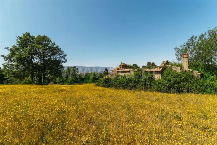 Terreno para Venda em Fundão, Valverde, Donas, A. Joanes, A. Nova Cabo Foto 3