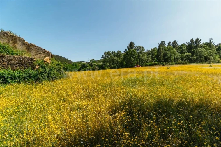 Terreno para Venda em Fundão, Valverde, Donas, A. Joanes, A. Nova Cabo Foto 6