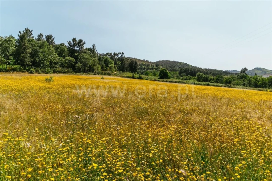 Terreno para Venda em Fundão, Valverde, Donas, A. Joanes, A. Nova Cabo Foto 8