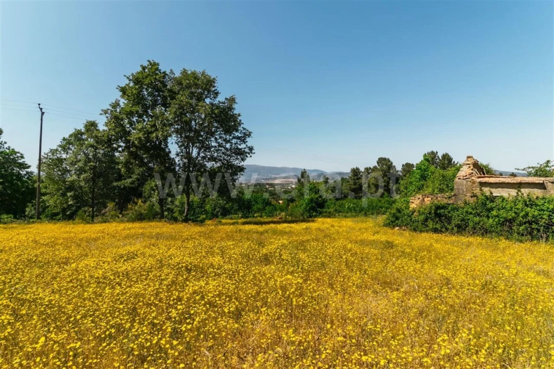 Terreno para Venda em Fundão, Valverde, Donas, A. Joanes, A. Nova Cabo Foto 9
