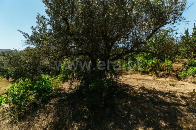 Terreno para Venda em Fundão, Valverde, Donas, A. Joanes, A. Nova Cabo Foto 3