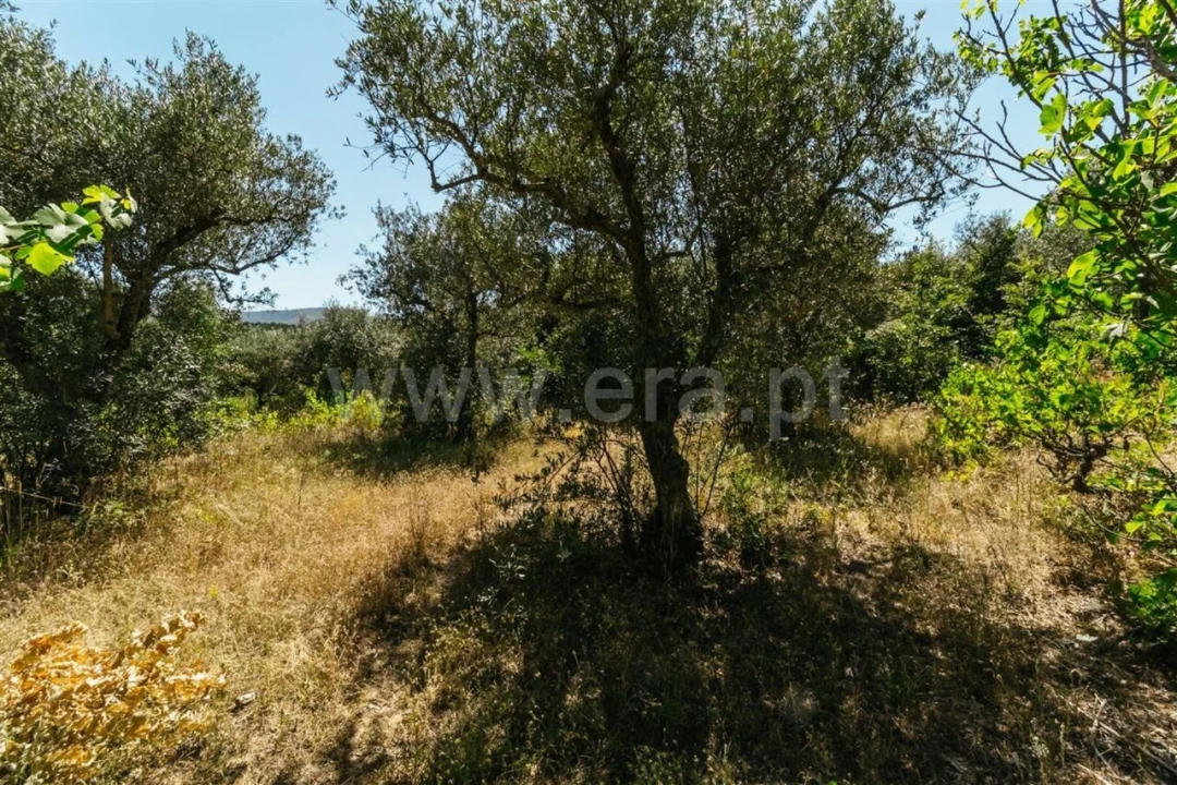 Terreno para Venda em Fundão, Valverde, Donas, A. Joanes, A. Nova Cabo Foto 2