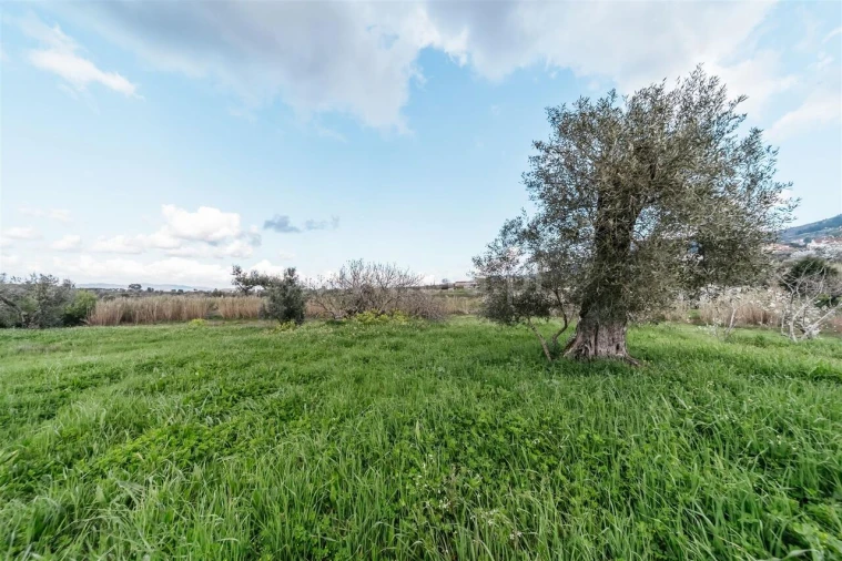 Quinta T0 para Venda em Fundão, Valverde, Donas, A. Joanes, A. Nova Cabo Foto 7