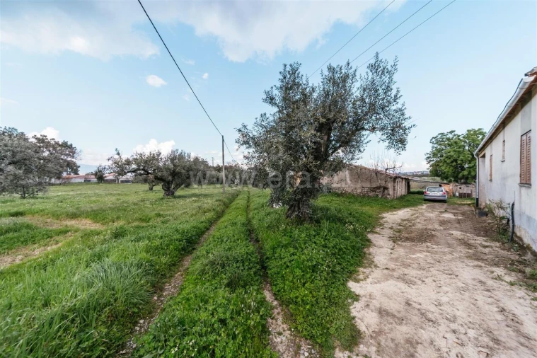 Quinta T0 para Venda em Fundão, Valverde, Donas, A. Joanes, A. Nova Cabo Foto 15
