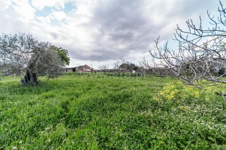 Quinta T0 para Venda em Fundão, Valverde, Donas, A. Joanes, A. Nova Cabo Foto 9