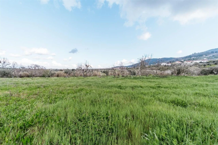 Quinta T0 para Venda em Fundão, Valverde, Donas, A. Joanes, A. Nova Cabo Foto 18