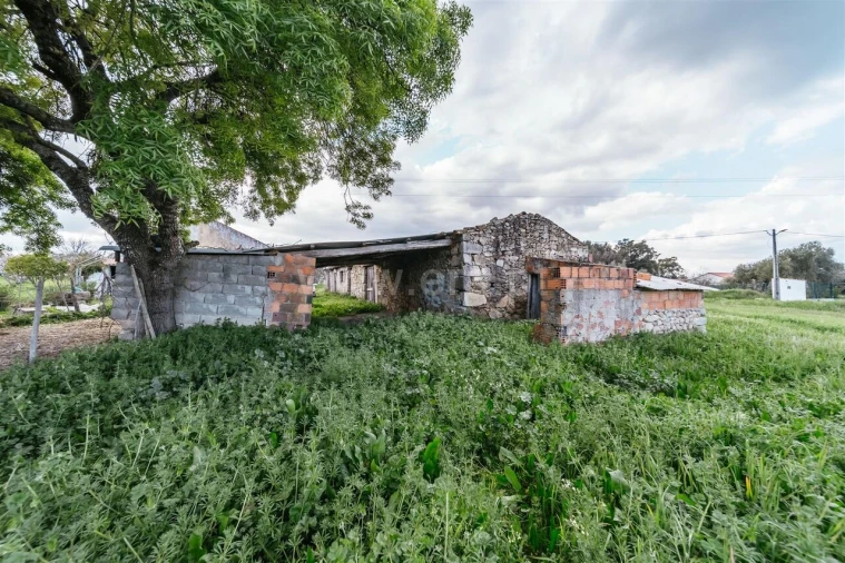 Quinta T0 para Venda em Fundão, Valverde, Donas, A. Joanes, A. Nova Cabo Foto 13