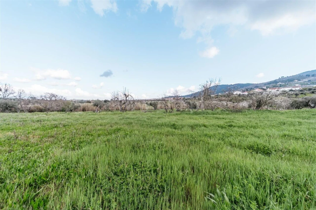 Quinta T0 para Venda em Fundão, Valverde, Donas, A. Joanes, A. Nova Cabo Foto 18