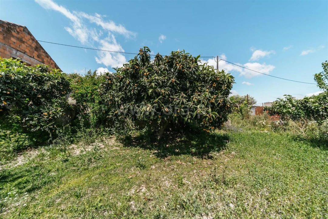 Terreno para Venda em Póvoa de Atalaia e Atalaia do Campo Foto 9