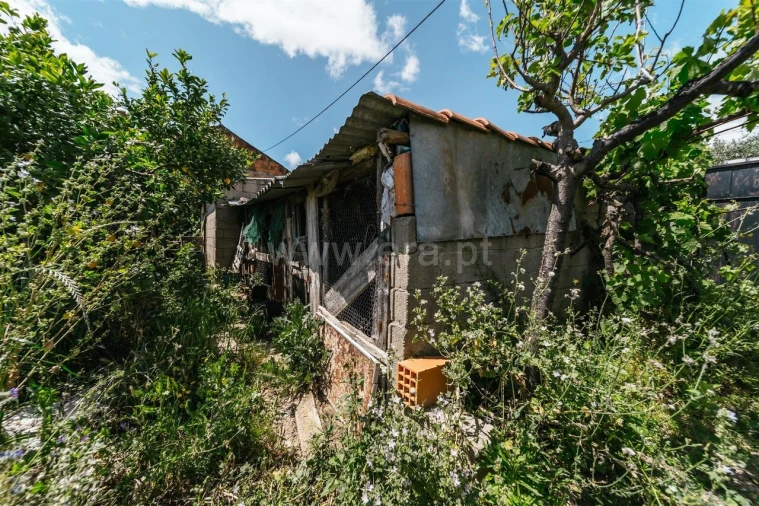 Terreno para Venda em Póvoa de Atalaia e Atalaia do Campo Foto 12