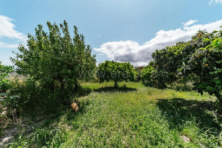 Terreno para Venda em Póvoa de Atalaia e Atalaia do Campo Foto 6