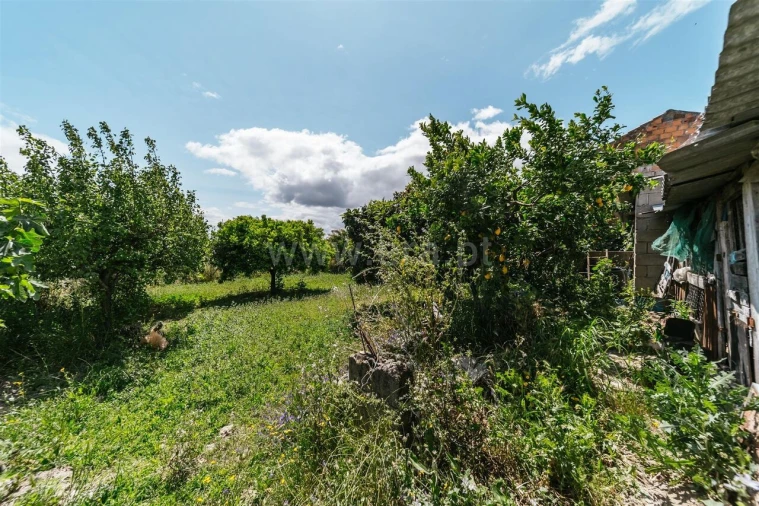 Terreno para Venda em Póvoa de Atalaia e Atalaia do Campo Foto 5