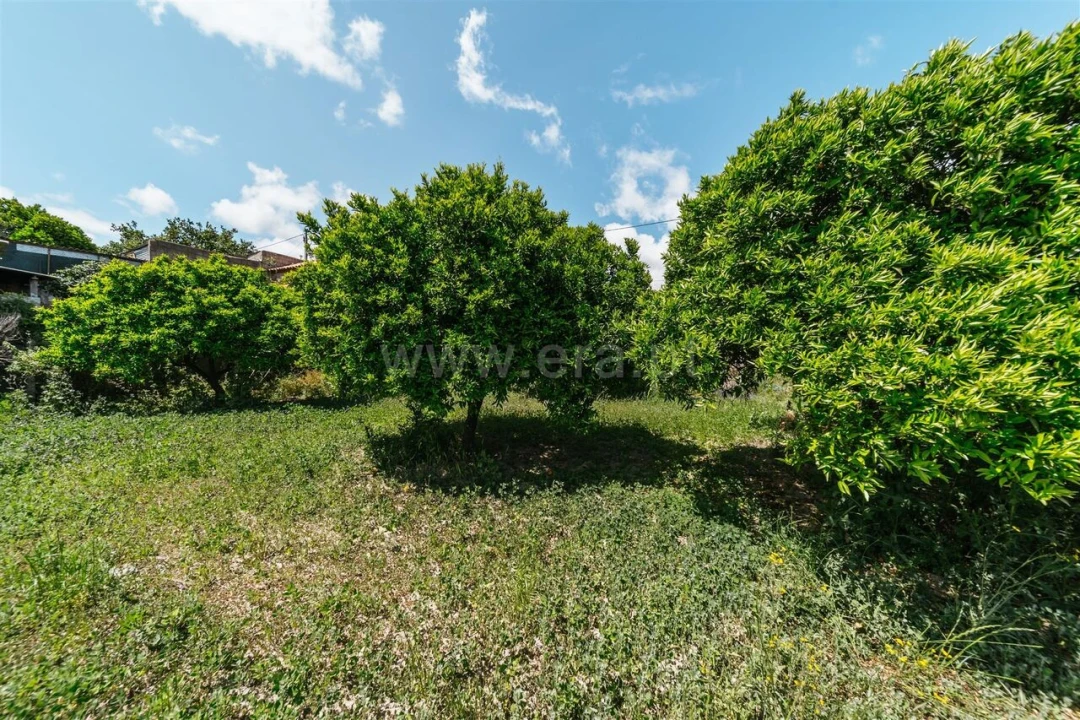 Terreno para Venda em Póvoa de Atalaia e Atalaia do Campo Foto 11