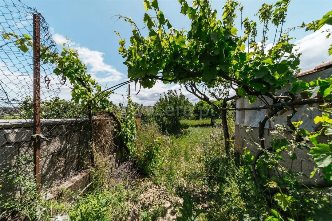 Terreno para Venda em Póvoa de Atalaia e Atalaia do Campo Foto 4