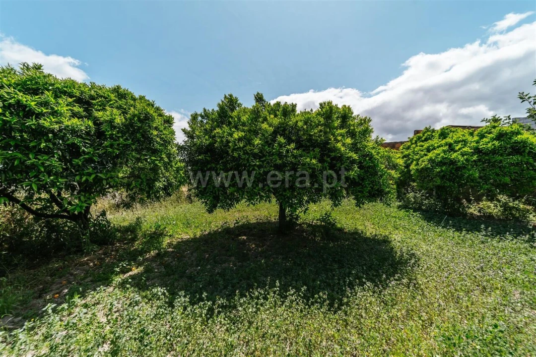Terreno para Venda em Póvoa de Atalaia e Atalaia do Campo Foto 8