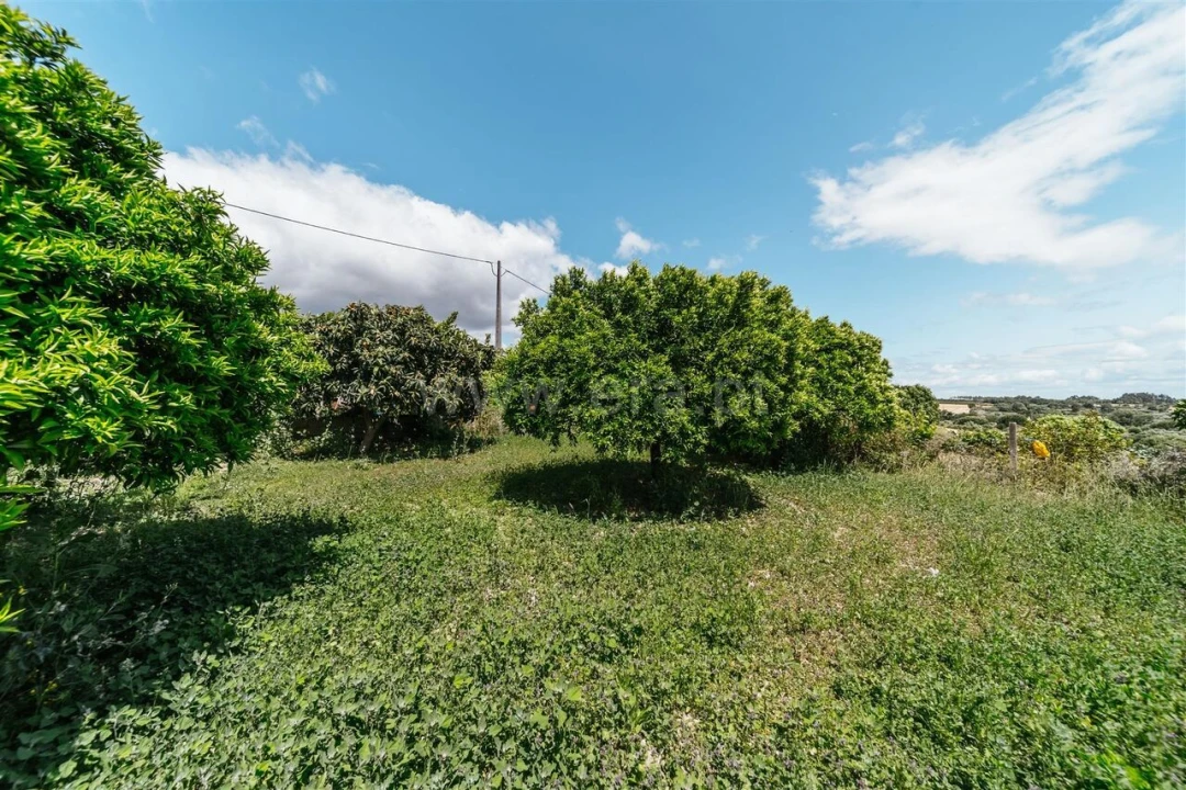 Terreno para Venda em Póvoa de Atalaia e Atalaia do Campo Foto 10