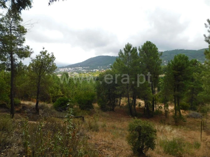 Terreno para Venda em Fundão, Valverde, Donas, A. Joanes, A. Nova Cabo Foto 4