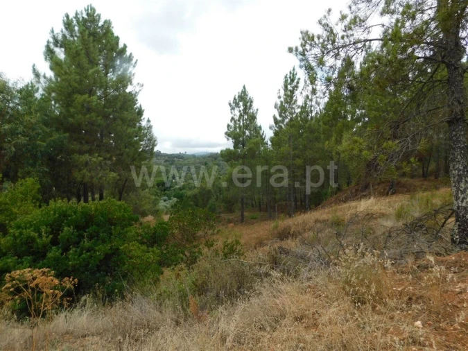 Terreno para Venda em Fundão, Valverde, Donas, A. Joanes, A. Nova Cabo Foto 6