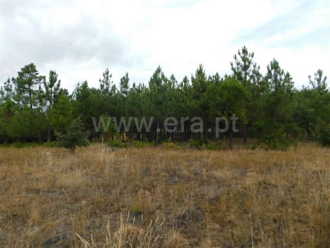 Terreno para Venda em Fundão, Valverde, Donas, A. Joanes, A. Nova Cabo Foto 10