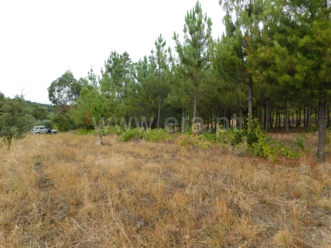 Terreno para Venda em Fundão, Valverde, Donas, A. Joanes, A. Nova Cabo Foto 9