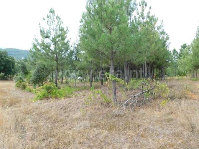Terreno para Venda em Fundão, Valverde, Donas, A. Joanes, A. Nova Cabo Foto 8