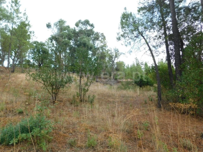 Terreno para Venda em Fundão, Valverde, Donas, A. Joanes, A. Nova Cabo Foto 2