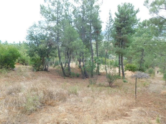 Terreno para Venda em Fundão, Valverde, Donas, A. Joanes, A. Nova Cabo Foto 3