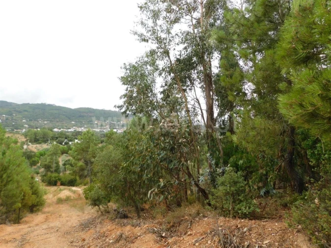 Terreno para Venda em Fundão, Valverde, Donas, A. Joanes, A. Nova Cabo Foto 5
