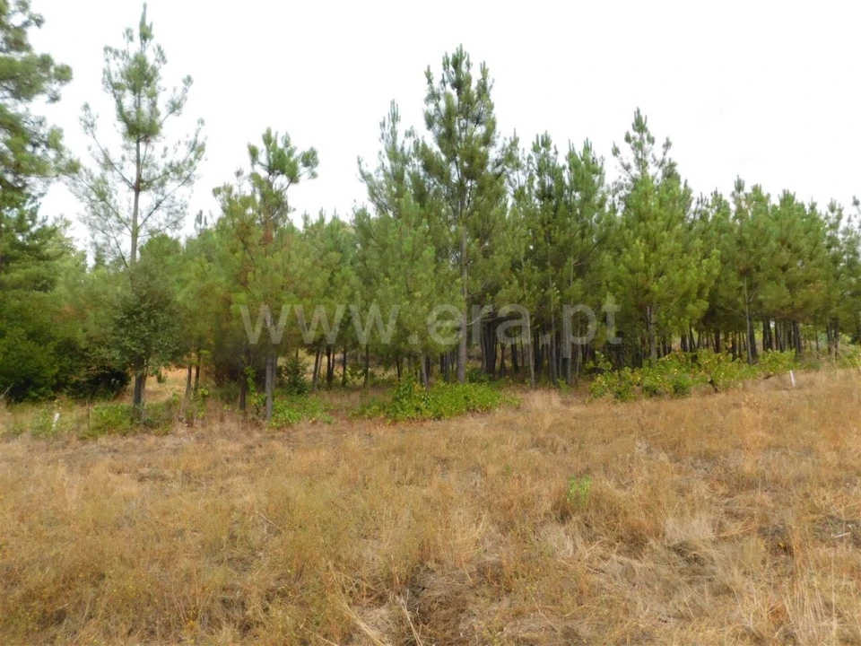 Terreno para Venda em Fundão, Valverde, Donas, A. Joanes, A. Nova Cabo Foto 11