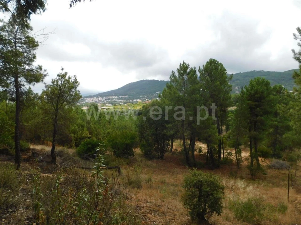 Terreno para Venda em Fundão, Valverde, Donas, A. Joanes, A. Nova Cabo Foto 4