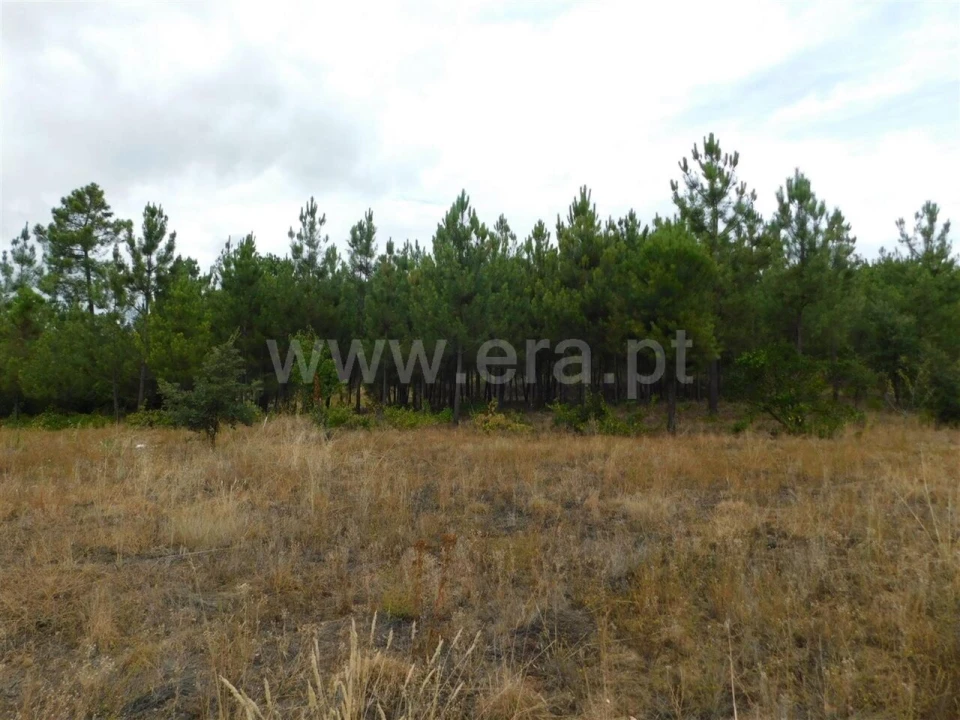 Terreno para Venda em Fundão, Valverde, Donas, A. Joanes, A. Nova Cabo Foto 10