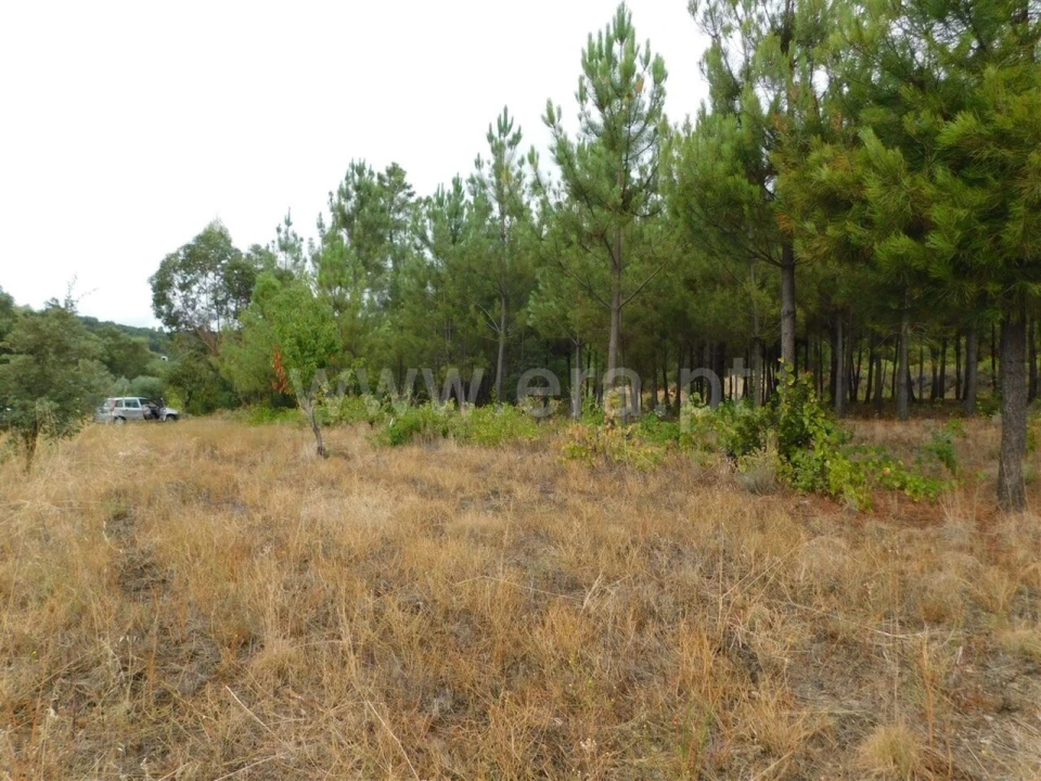 Terreno para Venda em Fundão, Valverde, Donas, A. Joanes, A. Nova Cabo Foto 9