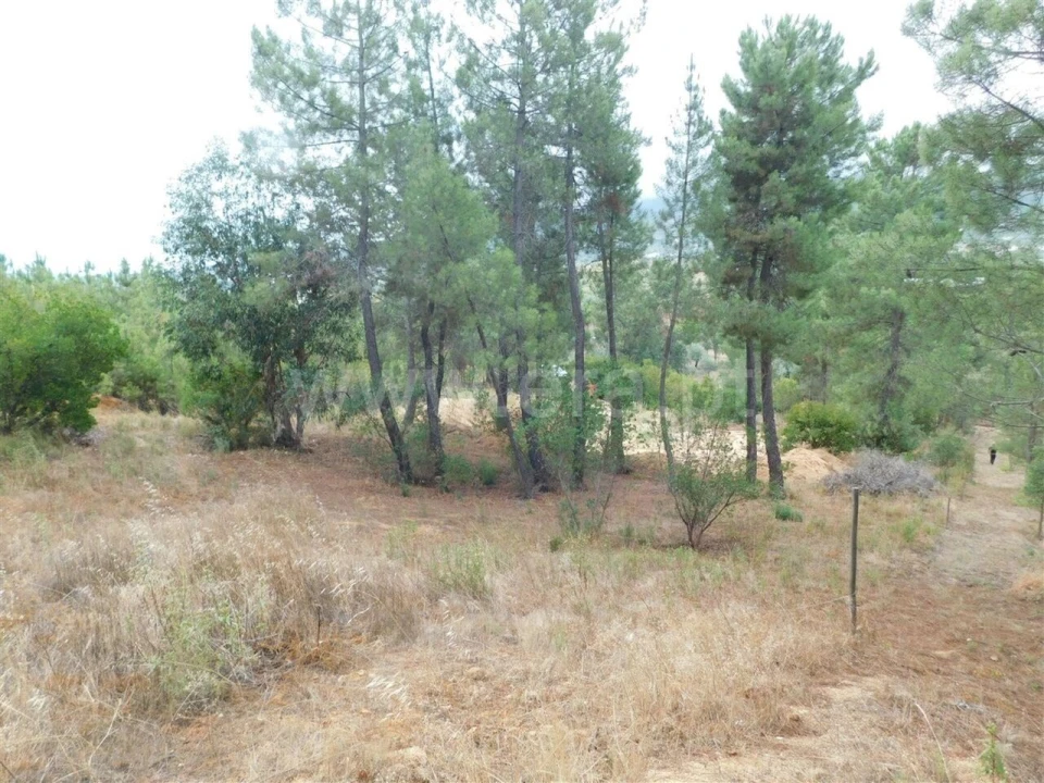 Terreno para Venda em Fundão, Valverde, Donas, A. Joanes, A. Nova Cabo Foto 3