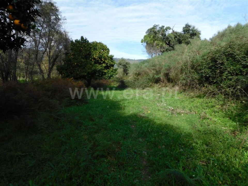 Quinta T0 para Venda em Vale de Prazeres e Mata da Rainha Foto 12