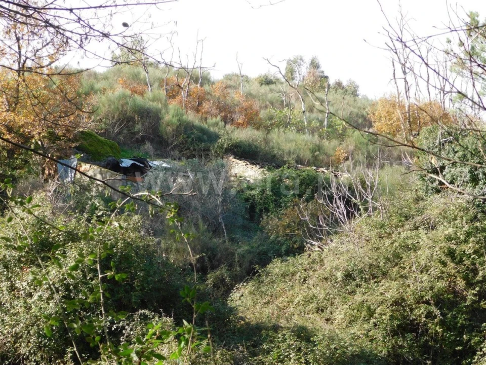 Quinta T0 para Venda em Vale de Prazeres e Mata da Rainha Foto 11